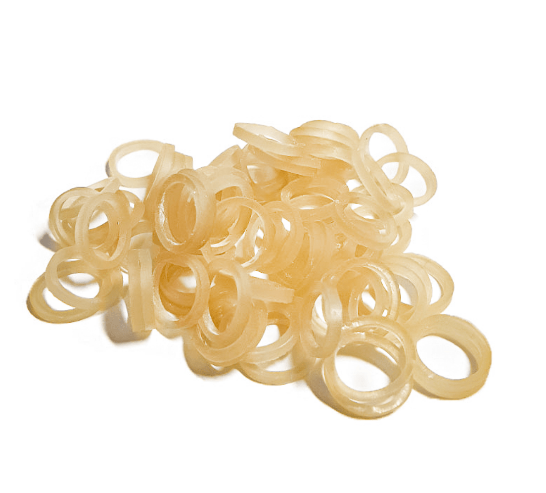 Intraoral and Extraoral Elastics - Brazilian Jungle