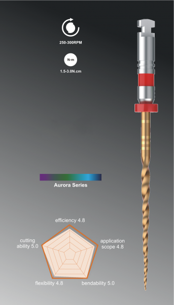 Rogin Super Flexi Files - Aurora Series