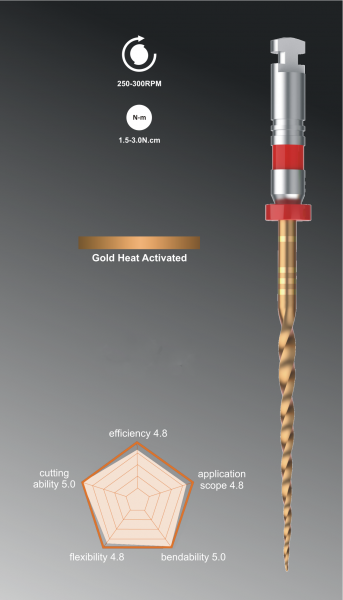 Rogin Super Flexi Files - Gold Heat Activaed