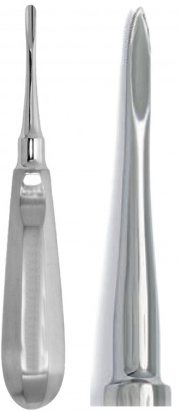Root Elevators, Flohr, Straight, Fig. 1F