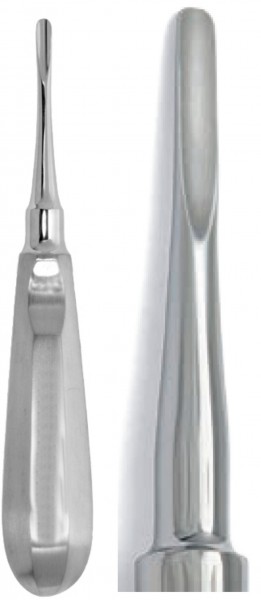 Root Elevator, Bein, Straight, 4mm