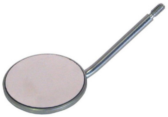 Mouth Mirrors Magnifying